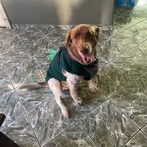 Meet your Posher, Alexandra